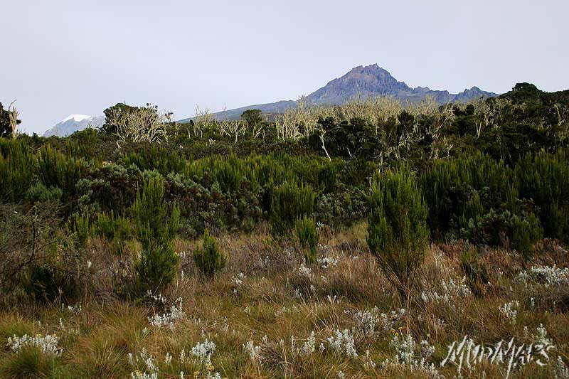 Mud Maps Africa Kili 2235